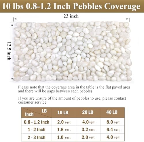 FANTIAN 20 lbs White Pebbles for Indoor Plants, 0.8-1.2 inch Small River Rocks for Plants. Decorative White Stones for Planters Vase Fish Tank and Outdoor Garden Landscaping Rocks - Image 3