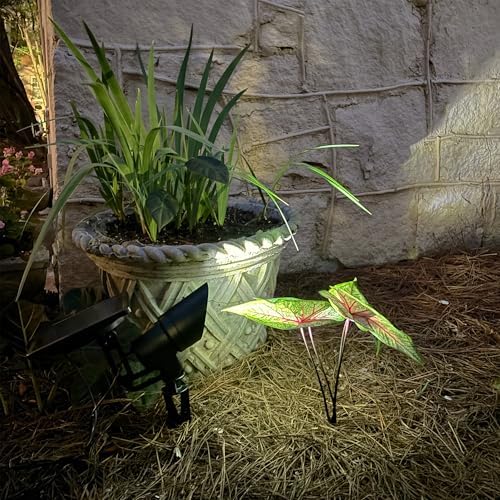 Gama Sonic Tri-Color Progressive Solar LED Spotlight with 100 Lumens, Outdoor Black Cast Aluminum, 3000K/4000K/5000K with Detachable Solar Panel (103i90090) - Image 4