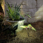 Gama Sonic Tri-Color Progressive Solar LED Spotlight with 100 Lumens, Outdoor Black Cast Aluminum, 3000K/4000K/5000K with Detachable Solar Panel (103i90090) - Image 4