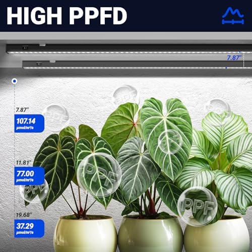 Barrina T5 Grow Lights for Indoor Plants, 2FT 5000K Full Spectrum, 4 Packs - Image 4