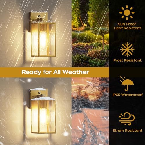 Dusk to Dawn Exterior Lighting Fixtures, Outdoor Porch Light Wall Sconce - Image 3