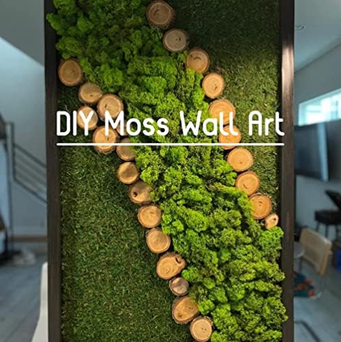 Preserved Reindeer Moss Natural Green DIY Kit Gardenning Art Wall Decor Florist Decor Easter Table Decor Wedding - Image 4