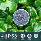 SOLPEX 24 Pack Solar Lights Outdoor, Stainless Steel Solar Pathway Lights - Image 6