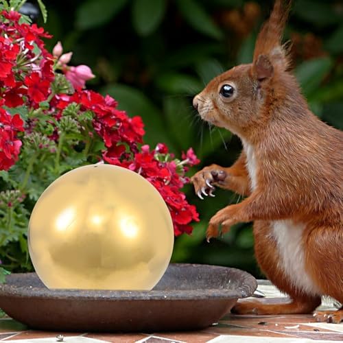 TIDTALEO Titanium Stainless Steel Gazing Ball Polished Mirror Sphere Hollow Seamless Reflective Globe for Garden Home Outdoor Decoration Lightweight Portable Sphere - Image 4