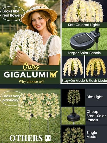 GIGALUMI 3 Pack Solar Wisteria Flowers Outdoor, 2 Modes, White - Image 2