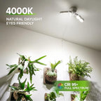 SANSI Wall Mounted Grow Light, 30W Dual Head Full Spectrum with Remote - Image 2