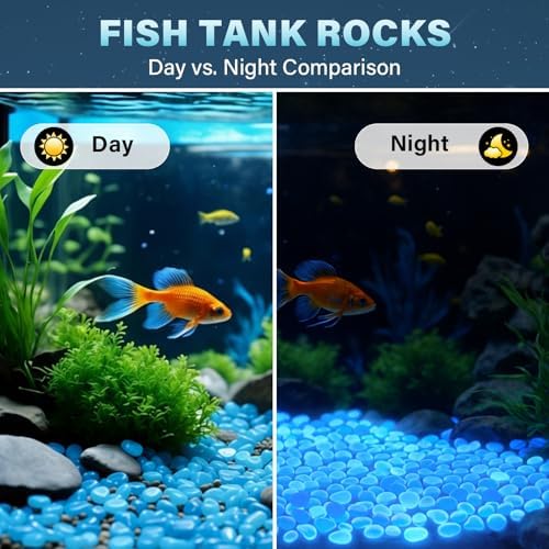 PoYang 2000pcs Glow in The Dark Rocks Outdoor Decor, Blue, 2.4 lbs/Bag - Image 6