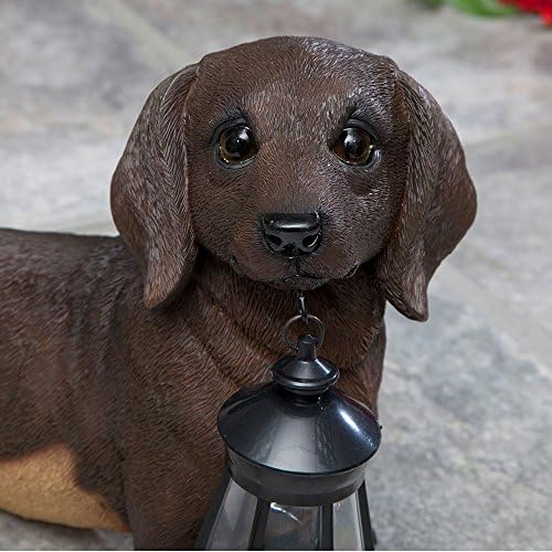 Bits and Pieces Dog Solar Powered Garden Lantern Statue, Resin - Image 3