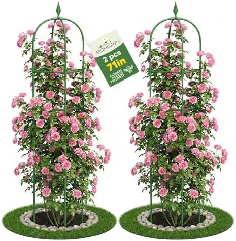 2 Pack Garden Obelisk Trellis for Climbing Plants, 6 FT Metal Rustproof Plant Support Rose Trellis, Tower Potted Cages for Flowers Fruits Vegetable Vines Indoor & Outdoor, Green(4 Tiers) by MQHUAYU