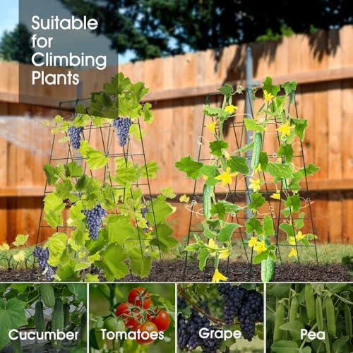 RIFNY Cucumber Trellis for Raised Bed, Garden Trellis 16.5 x 40 Inch, Green - Image 7