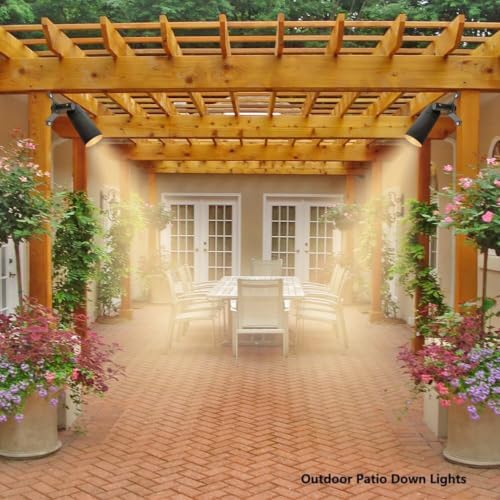 Landscape Lighting Low Voltage Tree Lights Outdoor Down Uplights - Image 4
