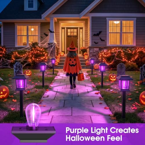 Greluna Solar Lights Outdoor,12 Pack Purple Waterproof Auto On/Off Solar Pathway Lights for Your Garden, Landscape, Path, Yard, Patio, Driveway,Walkway Halloween Decor - Image 3