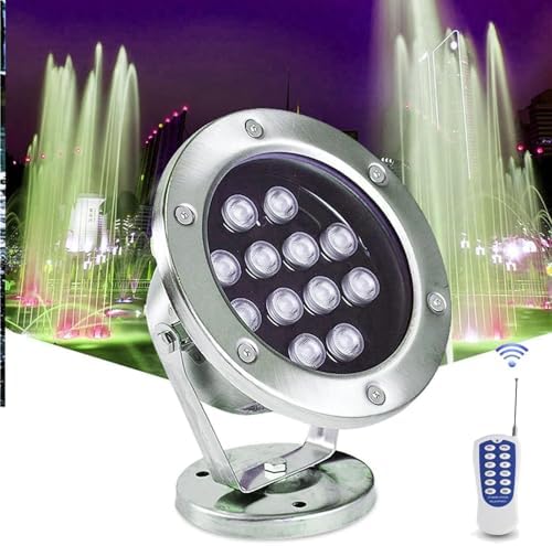Submersible LED Fountain Lights - Swimming Pool Light, AC12V/24V RGB With Remote Control Pond Spotlight, IP68 Waterproof Underwater Landscape Light, Eclairage Sous Marin(Warm White Light,24W) by Unknown