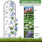 Garden Trellis for Climbing Plants, 71" H x 20" W, 2 Pack Heavy-Duty Metal Garden Trellis, Black Coated Rustproof Trellis for Plants Outdoor, Roses, Ivy, Flowers, and Vines - Image 4