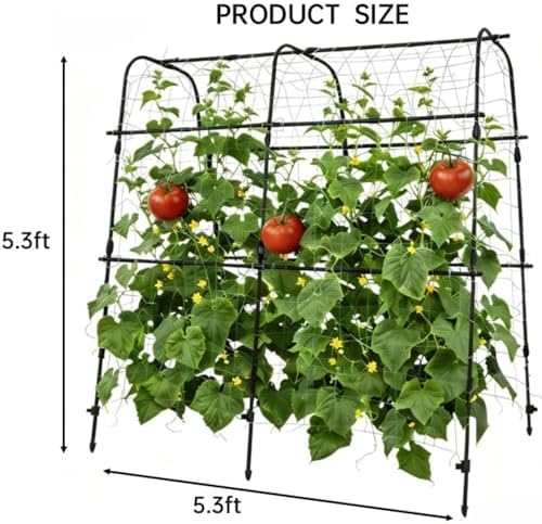 5.3x5.3FT Garden Arch Trellis for Raised Beds, Plant Support for Cucumbers, Melons, Vegetables, Peas, Tomatoes,﻿ & Climbing Vegetables, Outdoor Rust-Resistant Trellis - Image 2