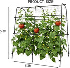5.3x5.3FT Garden Arch Trellis for Raised Beds, Plant Support for Cucumbers, Melons, Vegetables, Peas, Tomatoes,﻿ & Climbing Vegetables, Outdoor Rust-Resistant Trellis - Image 2