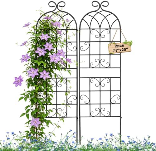 YOBAZAN Metal Garden Trellis 71"x20", 2 Pack Plant Support Trellis by LorenzoMDC