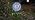 Solar Sunflower Outdoor Lights Metal Flower with Moving Eyes - Image 7