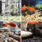 YISZM 10lbs Yellow River Rocks, 1-2 Inch Natural Pebbles for Indoor Plants, High Polished Decorative Stones Vase Filler Fish Tank Aquariums Landscaping Garden - Image 5