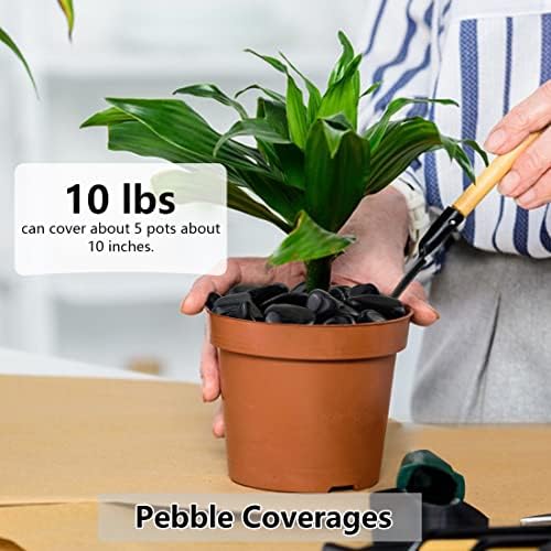YISZM 10lbs Black Pebbles for Plants, 1-2 Inch High Polished Natural River Rocks for Landscaping, Decorative Stones Vase Filler Fish Tank Aquariums Garden Outdoor and Indoor DIY - Image 3