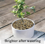 FANTIAN 10 lbs Aquarium Sand, 1/16 Inch Fish Tank Sand Gravel - Image 5