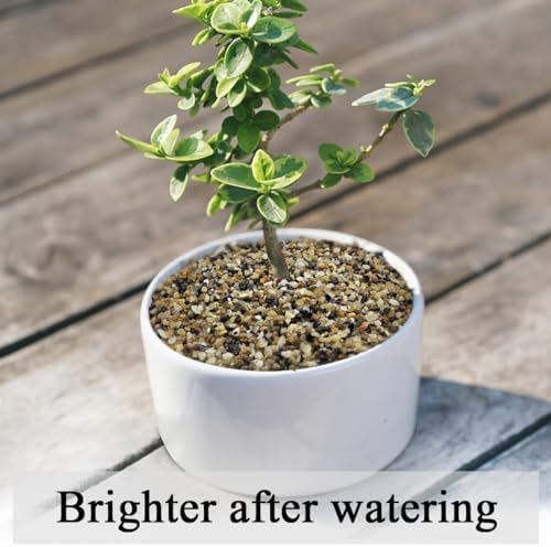 FANTIAN 10 lbs Aquarium Sand, 1/16 Inch Fish Tank Sand Gravel - Image 5