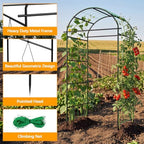Garden Arch Trellis with Netting, Metal Garden Trellis for Climbing Plants - Image 4