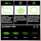 M METERXITY 3000-Pack Glow in The Dark Rocks, 0.31"-0.43" Resin Outdoor Garden Decorations Luminous Pebbles Stones for Garden Plants/Aquarium/Backyard Path, Aquarium Gravel [Green] - Image 4