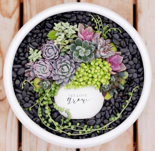 10LB Black Pebbles for Indoor Plants, 3/8 Inch Polished Small Rocks - Image 7