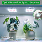 Under Shelf Grow Light, Auto Timer, Dimmable, Daylight White, 2-Pack - Image 5