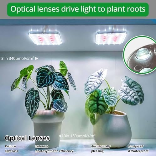 Under Shelf Grow Light, Auto Timer, Dimmable, Daylight White, 2-Pack - Image 5