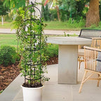 6.7FT Garden Obelisk Trellis for Climbing Plants,81”Metal Plant Support Tower,Heavy Duty Thickened Tube,Rustproof Black Vine & Flower Stand for Outdoor Indoor Use - Image 6