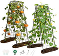 Garden Trellis for Cucumbers, 50” x 16“ Adjustable A-Frame Plant Support for Climbing Plants Outdoor, Vegetable, Flowers, 2 Pack Heavy Duty 1cm Metal Vegetable Trellis for Backyard, Raised Bed, Patio by BAG+WIZARD
