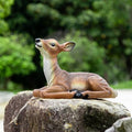 Decorative Deer Garden Statue, Lifelike Resting Fawn Figurine, Brown by Unknown