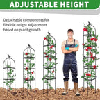 2-Pack 6.7FT Garden Obelisk Trellis for Climbing Plants,81”Metal Plant Support Tower,Heavy Duty Thickened Tube,Rustproof Black Vine & Flower Stand for Outdoor Indoor Use - Image 5