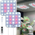 Under Shelf Grow Light, Auto Timer, Dimmable, Daylight White, 2-Pack by DommiaBuynow