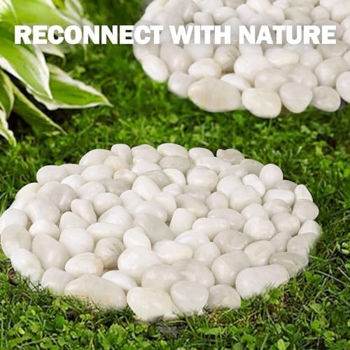 River Rock Stepping Stones Outdoor for Garden Walkway, 12 inch Diameter 6 Pcs Round Shape Paver Step Stones Polished Pebble River Stone Mat for Yard Lawn Patio Pathway Walk Way - White - Image 2