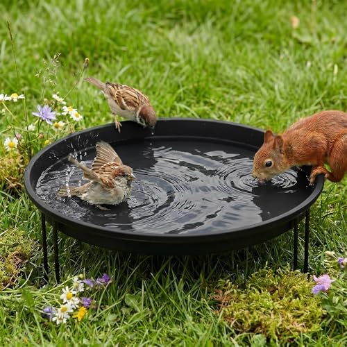 14.37'' Ground Bird Bath for Outside Large Bird Bath, Black by Unknown