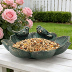 Decorative Bird Baths for Outdoor Bronze Bird Water Feeder Birdbath Bowl - Image 2