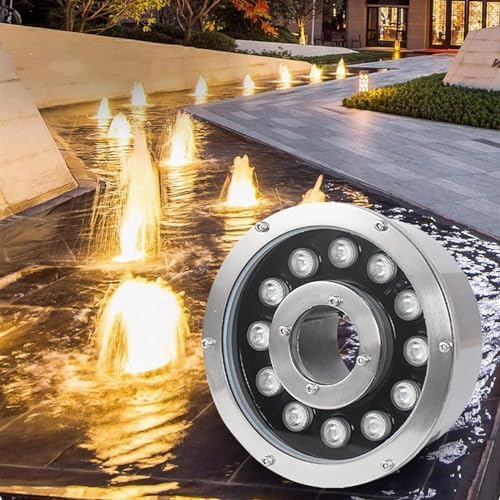 LED Ring Underwater Light - Recessed RGB Fountain Light, Submersible Color Change Swimming Pool Lights, IP68 Waterproof Middle Hole Pond Lighting, with Remote Control(12V,18W) by Unknown