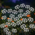 Solar Garden Lights Outdoor, Upgraded Solar Swaying Starburst Light Waterproof with 2 Modes, Solar Fairy Firework Lights for Yard Patio Pathway Flowerbed Balcony Garden Decoration (White, 4 Pack) by AYwyYjCh