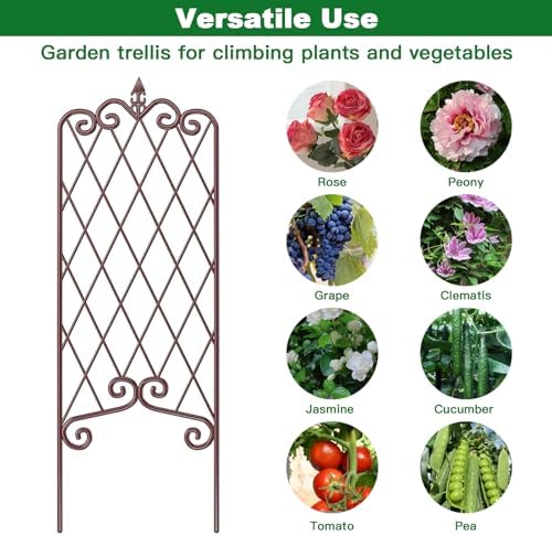 AMAGABELI GARDEN & HOME 2 Pack Garden Trellis for Climbing Plants Outdoor 60” x 18” Garden Fencing Decorative Plant Trellis Vegetables and Rose Trellis for Ivy Cucumbers Brown - Image 6