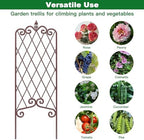 AMAGABELI GARDEN & HOME 2 Pack Garden Trellis for Climbing Plants Outdoor 60” x 18” Garden Fencing Decorative Plant Trellis Vegetables and Rose Trellis for Ivy Cucumbers Brown - Image 6