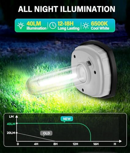 COXSENI Solar Pathway Lights Outdoor Waterproof Cool White, 8 Pack - Image 2