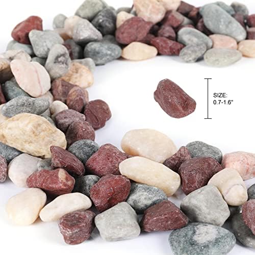 11lbs Natural River Rocks, Polished Pebbles for Plants Garden, 1-2 inch Decorative Countryside Stones, Ideal for Fish Tank, Vases, Crafting, Garden Landscaping Rocks,Countryside - Image 2
