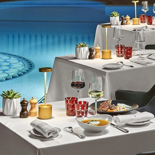 SAKRINGT Cordless Table Lamp Rechargeable,Outdoor LED Table Light - Image 6