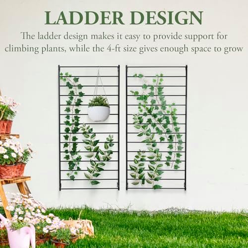 MyGift 4 Foot Tall Modern Matte Black Metal Wall Mounted Horizontal Bars Trellis, Outdoor Hanging Support Frame for Climbing Garden Plants and Crawling Vines, Set of 2 - Image 2