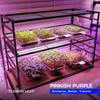 Barrina T5 Grow Lights for Indoor Growth, 4FT Plant Lights, Pink, 8 Packs - Image 2