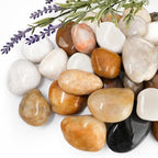 18lb Mixed River Rocks for Plants, 1-3" Pebbles for Indoor Plants by BIOMAND
