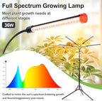 FRGROW Grow Light with Stand for Tall and Large Indoor Plants - Image 2